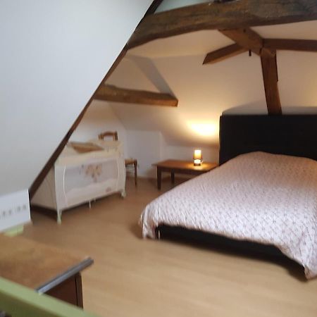 Вилла Chez Laiko Wifi Gratuit Beaulieu-sur-Loire Экстерьер фото