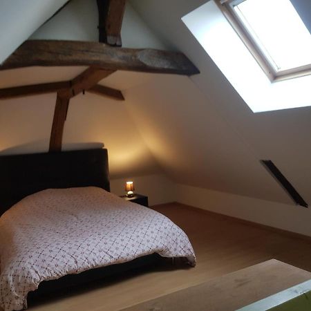 Вилла Chez Laiko Wifi Gratuit Beaulieu-sur-Loire Экстерьер фото