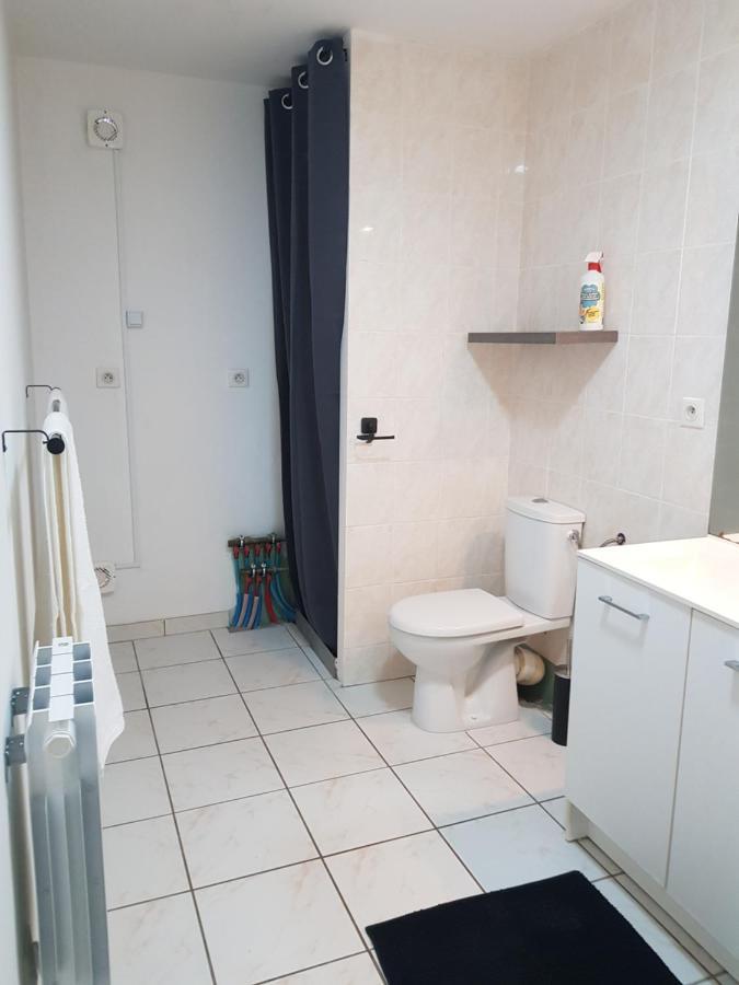Вилла Chez Laiko Wifi Gratuit Beaulieu-sur-Loire Экстерьер фото