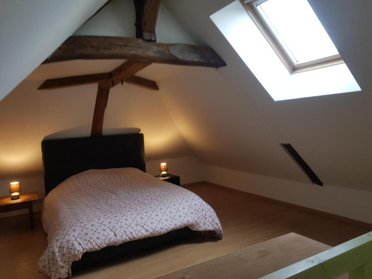 Вилла Chez Laiko Wifi Gratuit Beaulieu-sur-Loire Экстерьер фото